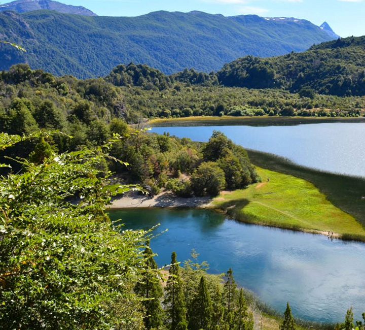 Alerce Andino Pases Digitales Parques Nacionales Alerce Andino Pases Digitales Parques Nacionales