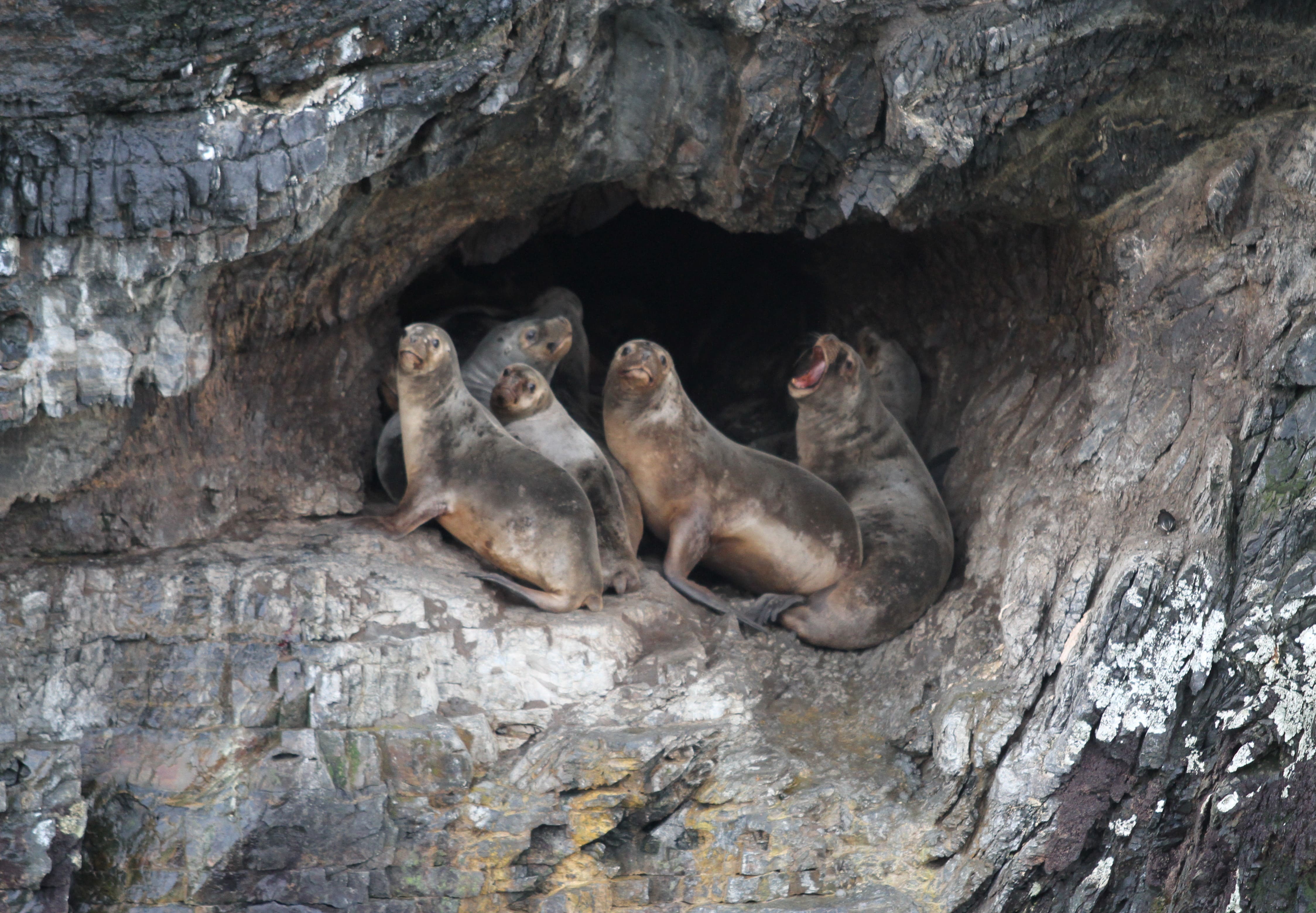 Bernardo O'higgins - 2