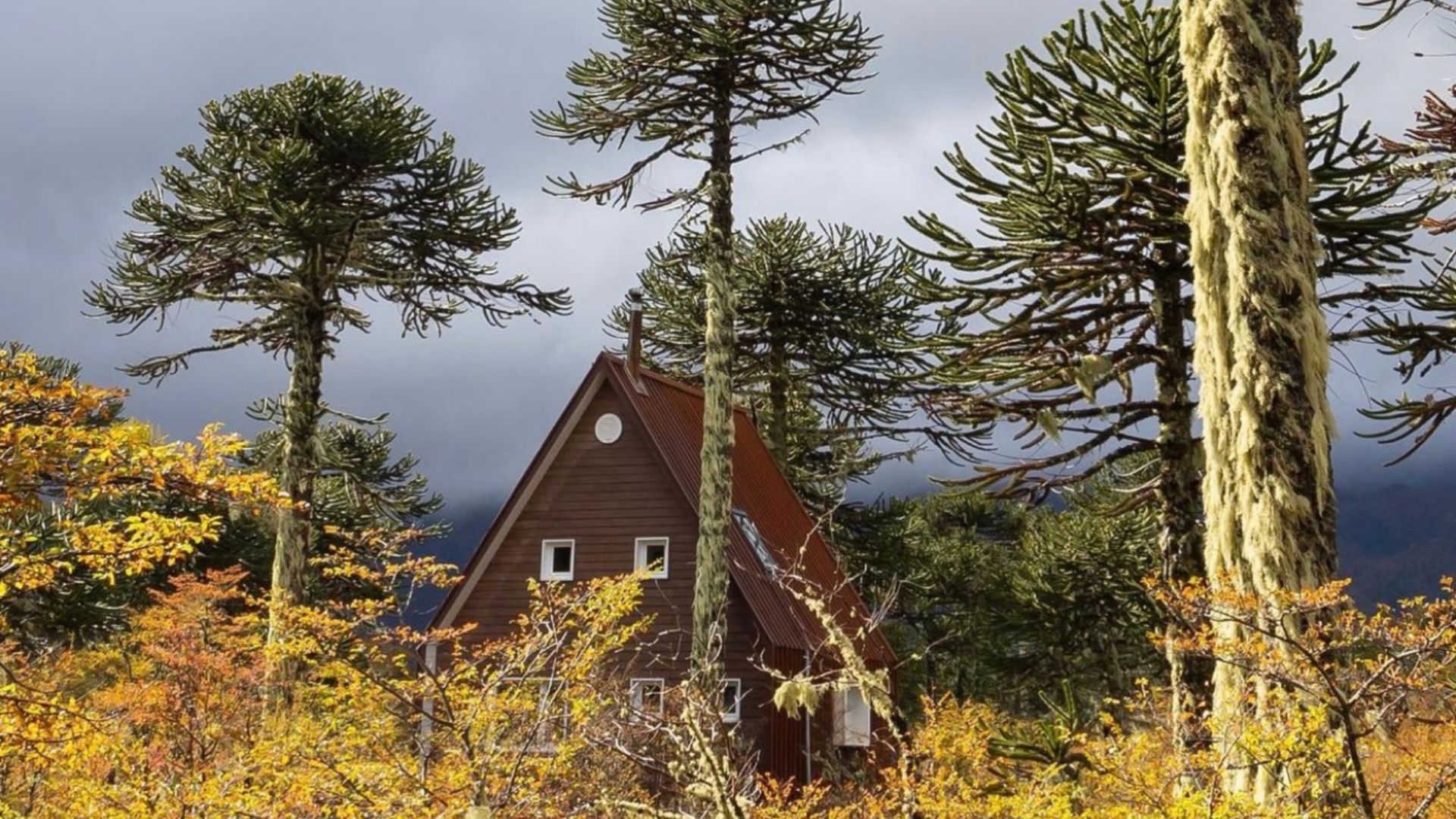 Parque Nacional Conguillio Camping WOLMDE