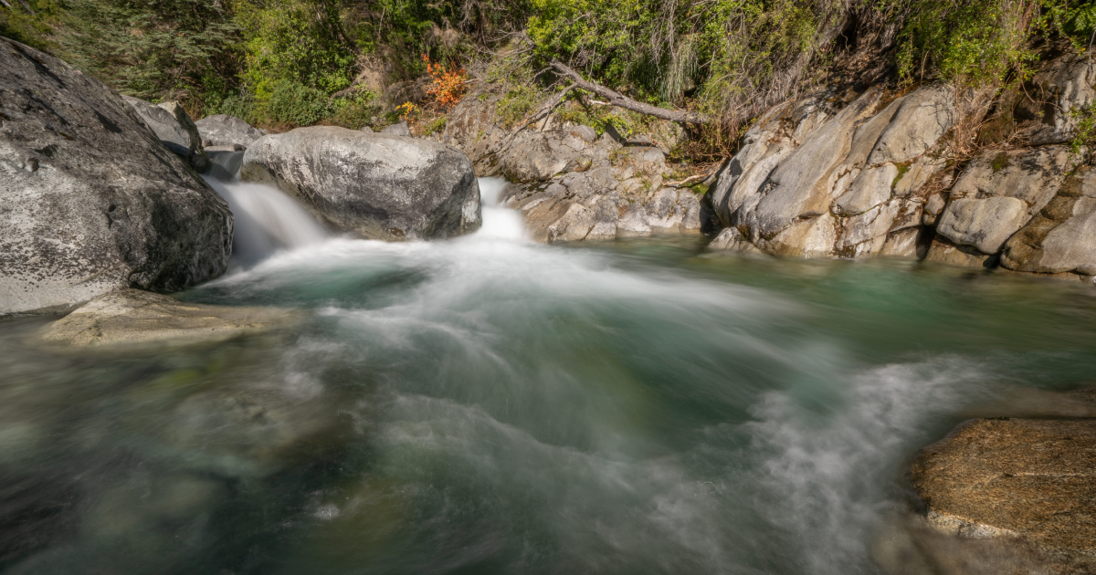 Huemules de Niblinto - 2