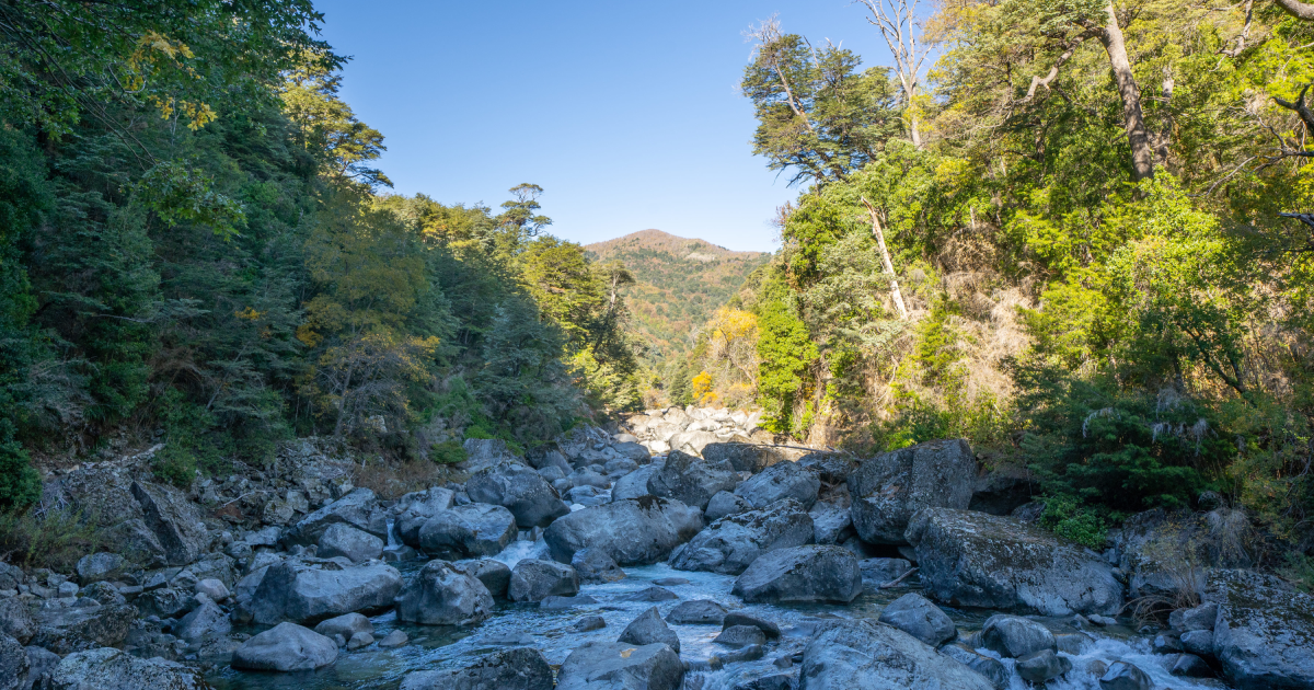 Huemules de Niblinto - 3