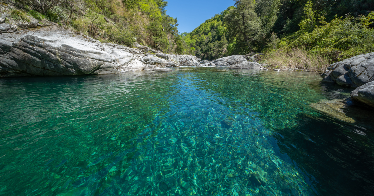 Huemules de Niblinto - 0